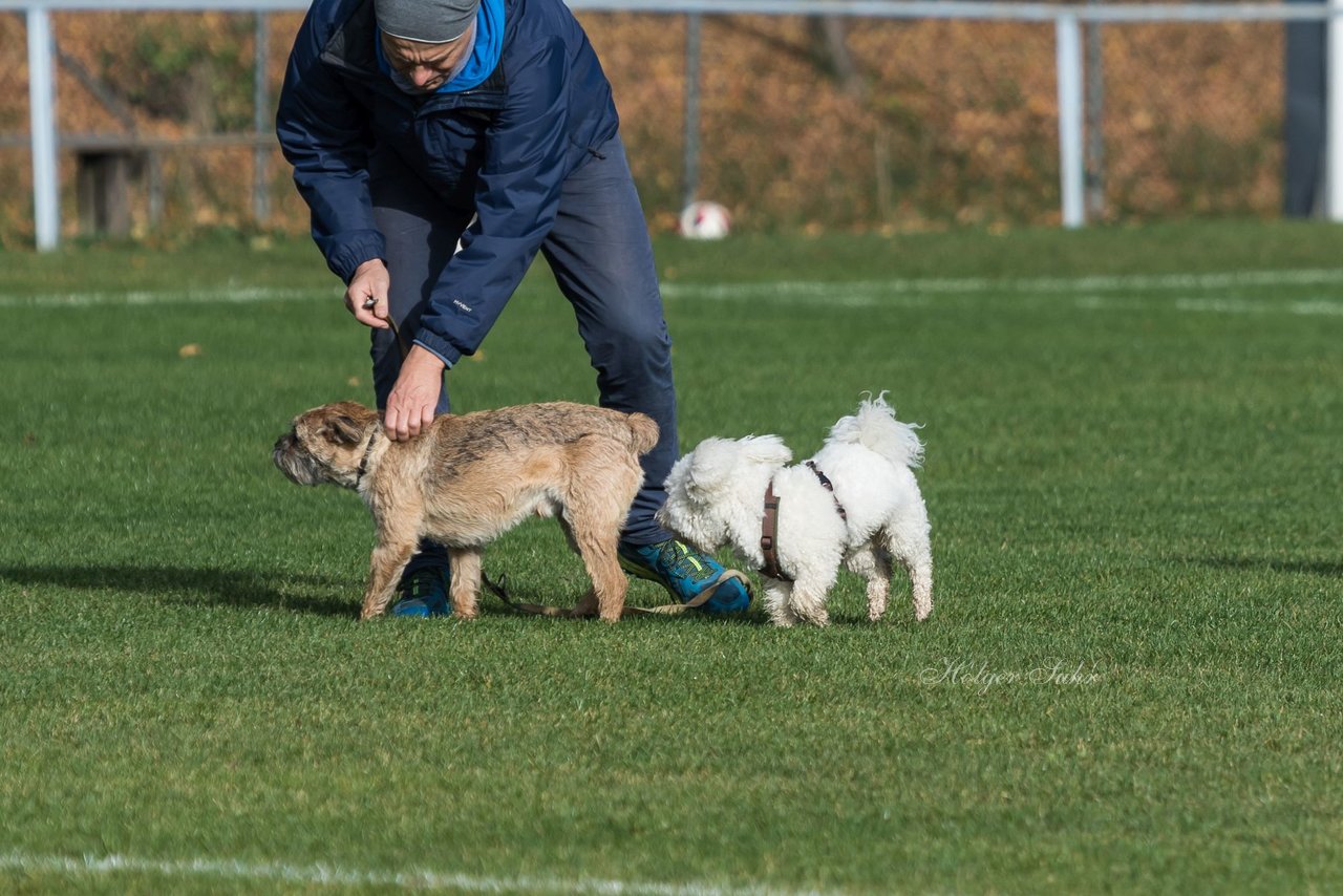 Bild 195 - wBJ MSG Steinhorst-Krummesse - VfL Pinneberg : Ergebnis: 2:0